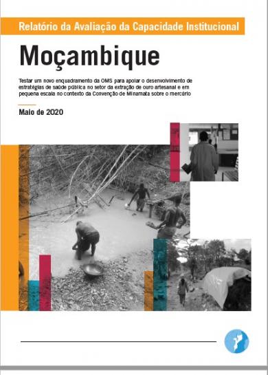 Relatório da Avaliação da Capacidade Institucional: Moçambique